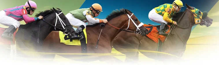 Khám Phá Cá Cược Đua Ngựa WinVN Thắng Lớn Hôm Nay